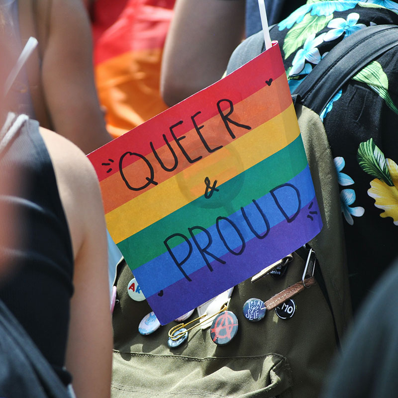 queer and proud flag